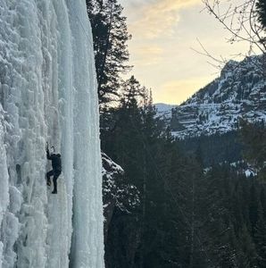 Meet your Posher, Joey